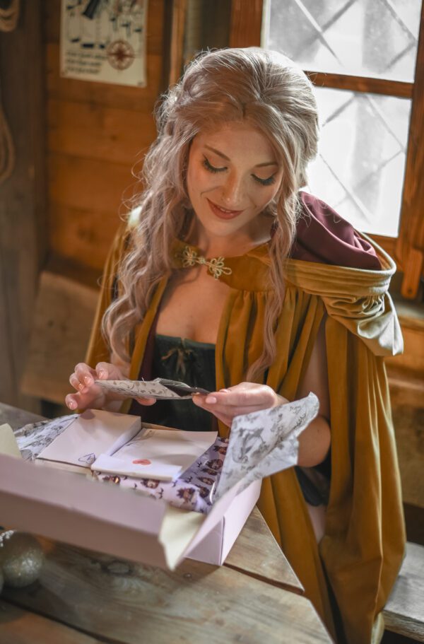 Calendario de adviento literario - 2025, Bookish advent calendar, In my Romantasy Era.