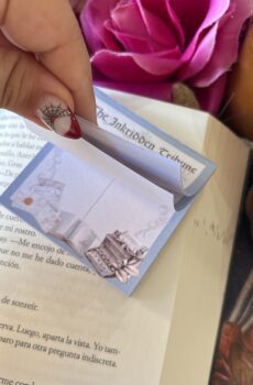 Bloc de notas - Divine Rivals.