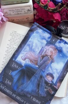 ''Feyre and her books'' booksleeve.